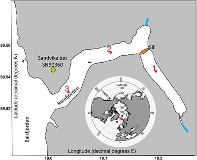 Light and freshwater discharge drive the biogeochemistry and microbial ecology in a sub-Arctic fjord over the Polar night